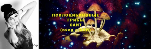 PSILOCYBIN Бородино