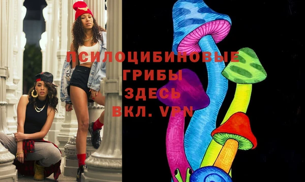PSILOCYBIN Бородино