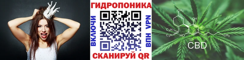 KRAKEN сайт  Кандалакша  Бошки марихуана план 